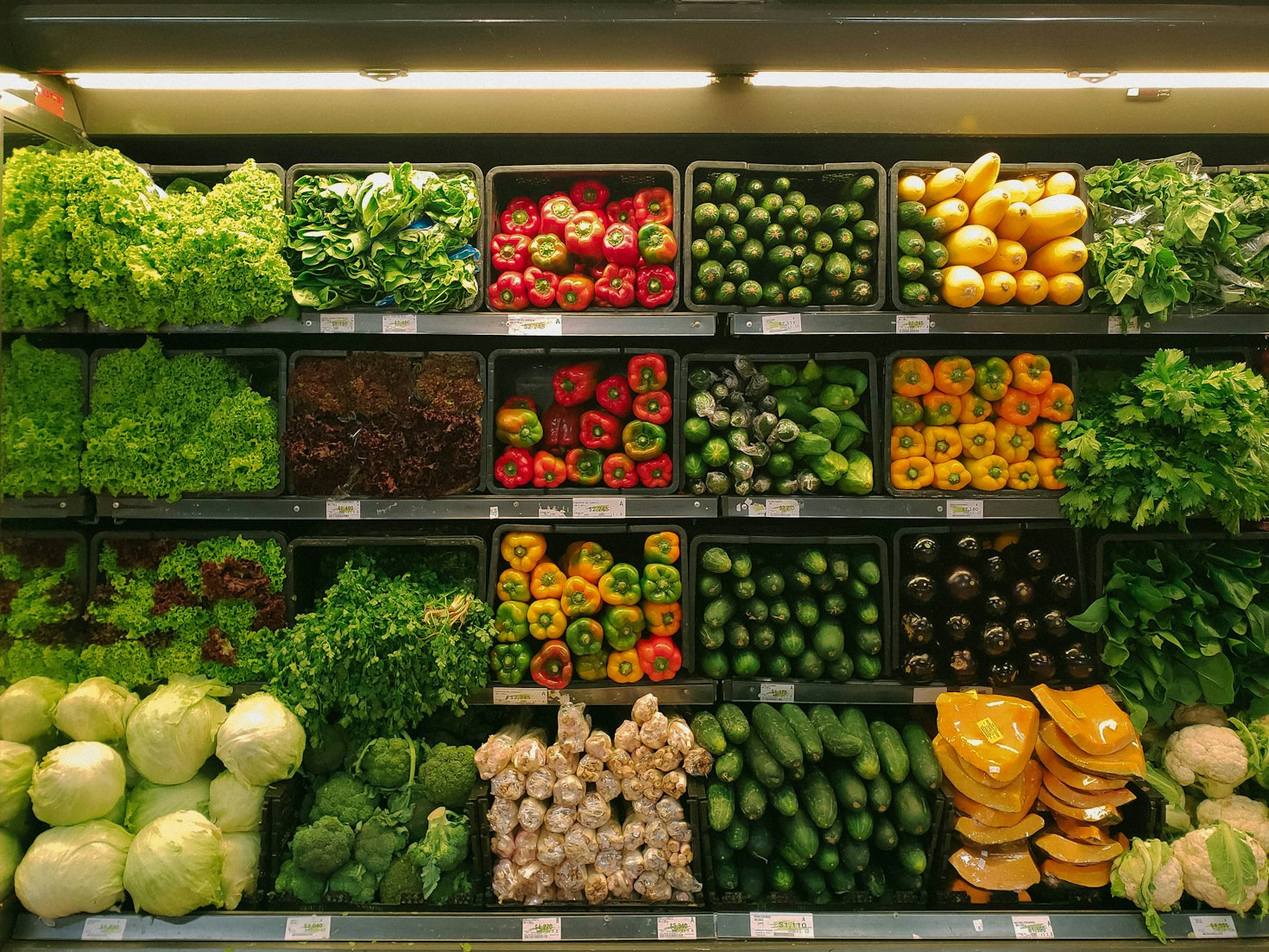 Migliorare la vitalità con scelte alimentari mirate